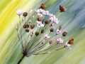 Schwanenblume
