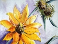 Sonnenblume